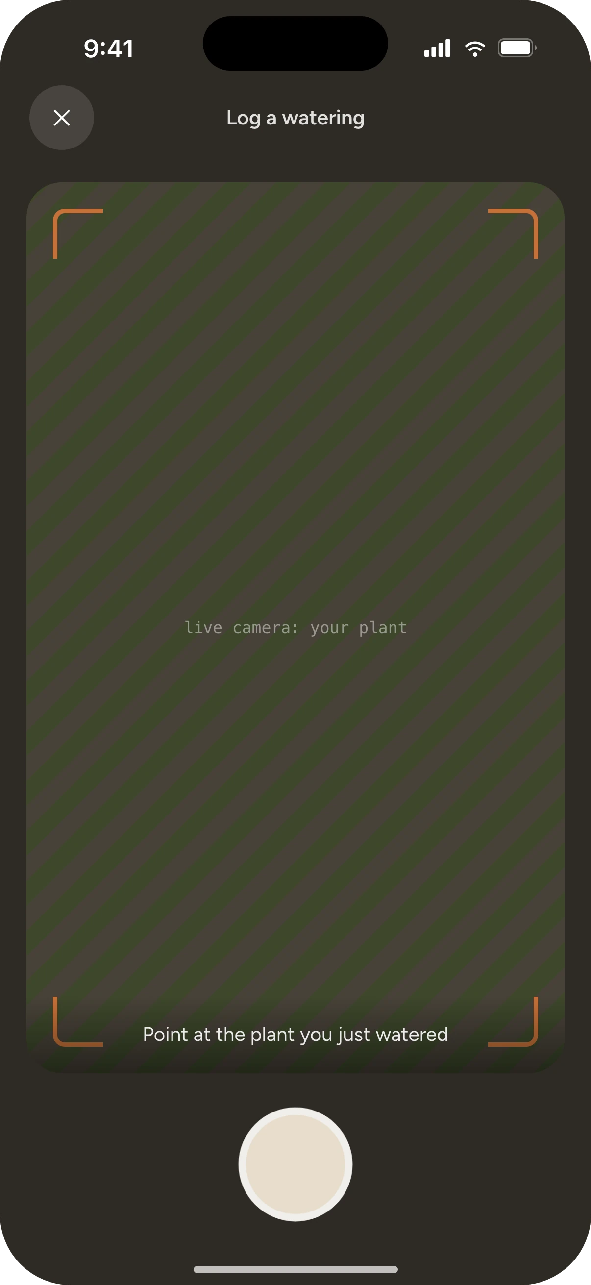 Watered app camera view prompting the user to point at the plant they just watered
