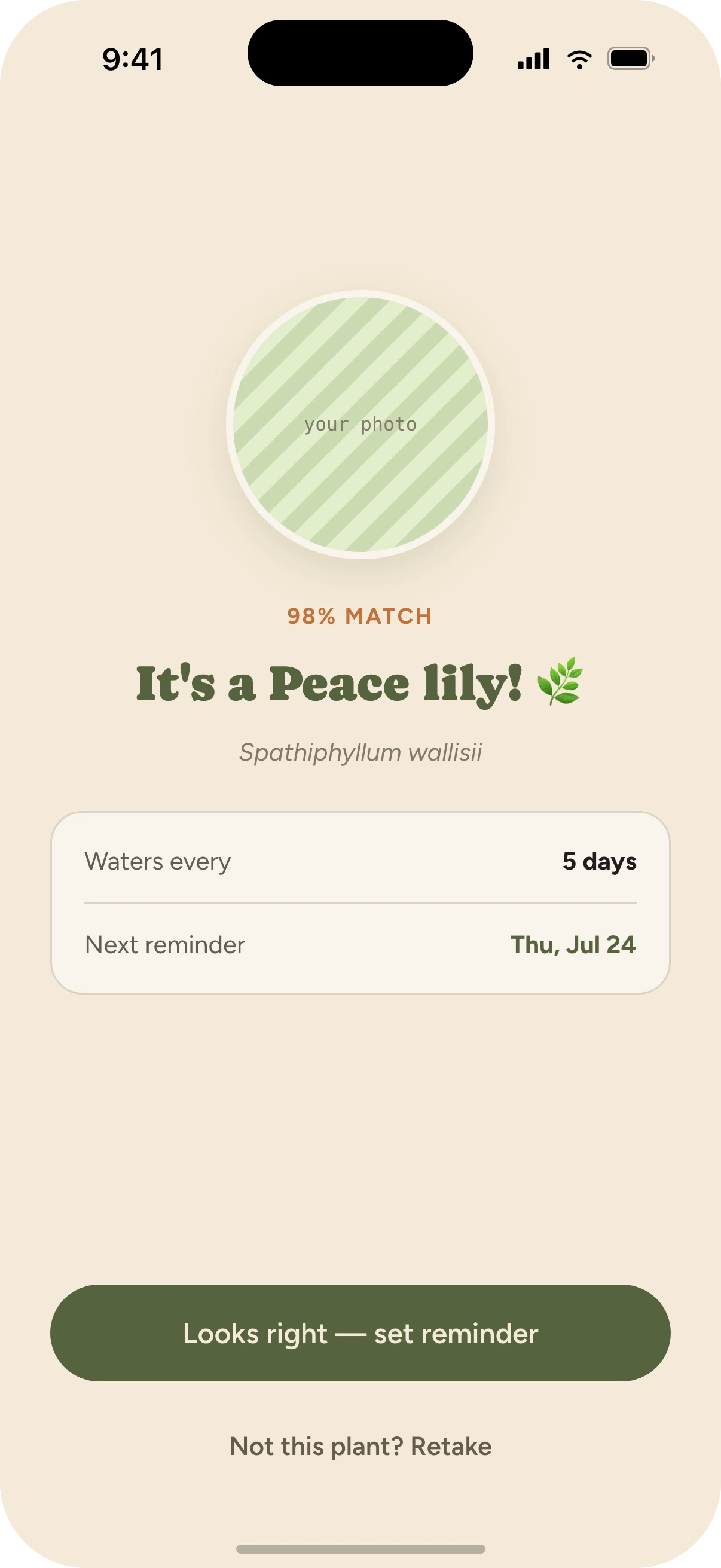 Watered app identification result naming the plant and its watering interval